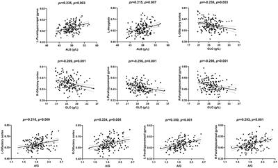 Associations of Serum Liver Function Markers With Brain Structure, Function, and Perfusion in Healthy Young Adults